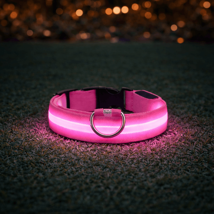 Roze halsband met oplichtende led-strook ligt op gras in het donker en werpt een roze gloed op de grond. 7