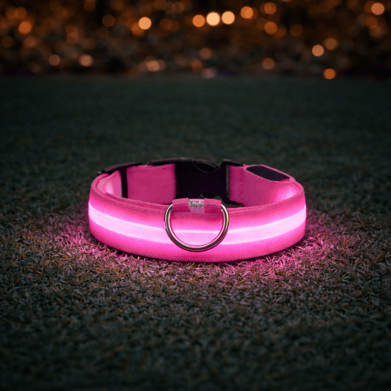 Roze halsband met oplichtende led-strook ligt op gras in het donker en werpt een roze gloed op de grond. 7