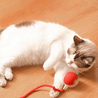 ChaseBall Interactive Chase Toy for Dogs and Cats - LED, USB 3