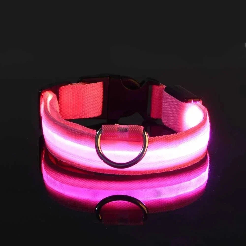 Roze halsband met oplichtende led-strook, D-ring en zwarte clip in het donker, met weerspiegeling op de ondergrond. 5