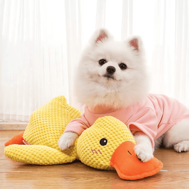Witte pomeranian in roze trui ligt met zijn poot op de gele pluchen eend 2