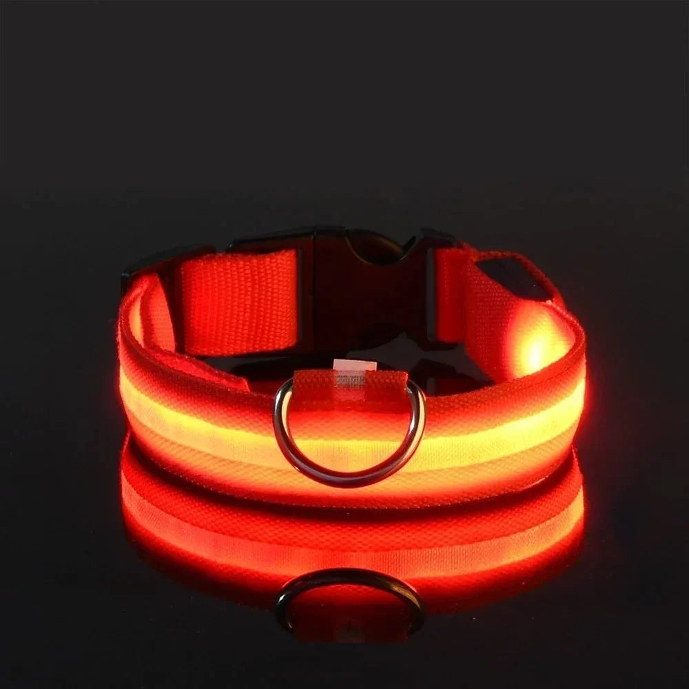 Oranje halsband met oplichtende led-strook, metalen D-ring en zwarte clipsluiting tegen een zwarte achtergrond, met spiegelbeeld. 8