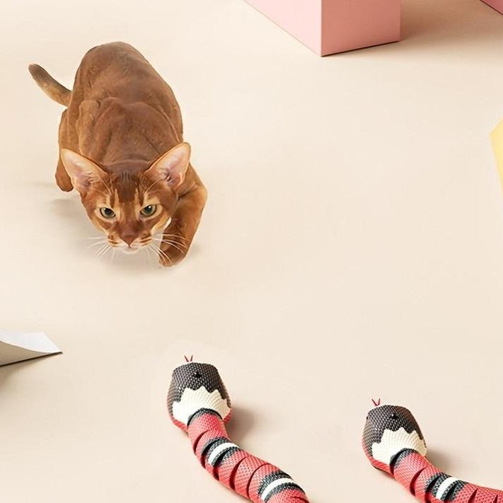 Katten Jachtspeeltje - SlitherPlay