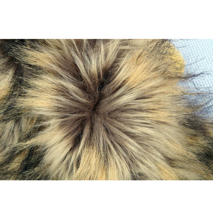 Löwenmähne für deine Katze - LionPaws