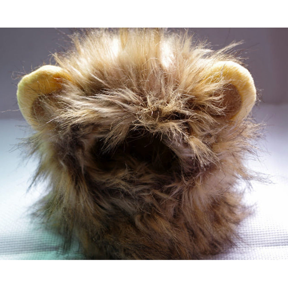 Löwenmähne für deine Katze - LionPaws