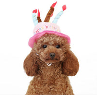 Geburtstagshut für Hunde und Katzen - PartyPaws
