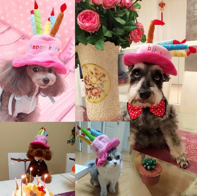 Geburtstagshut für Hunde und Katzen - PartyPaws