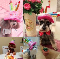Geburtstagshut für Hunde und Katzen - PartyPaws