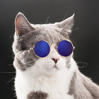 Trendy Kattenzonnebril - KittyShades