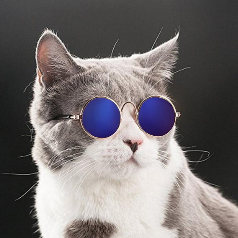 Trendy Kattenzonnebril - KittyShades