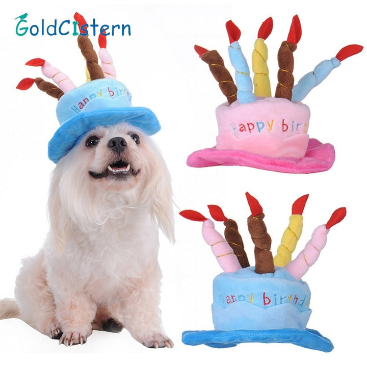 Geburtstagshut für Hunde und Katzen - PartyPaws
