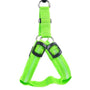 Hundegeschirr mit LED - Glow&Go