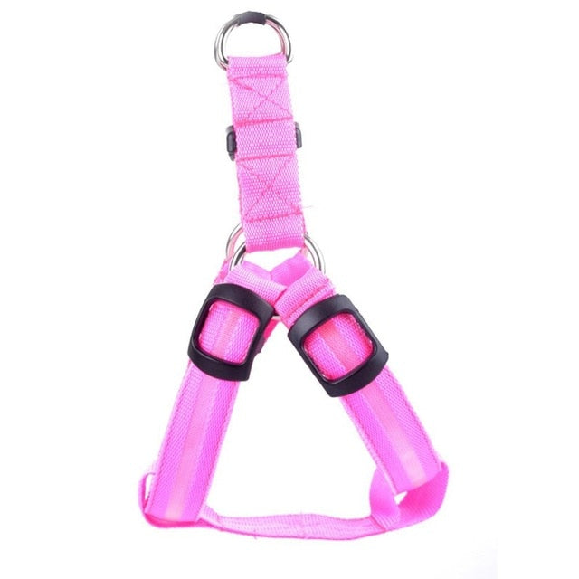 Hondentuigje met LED - Glow&Go