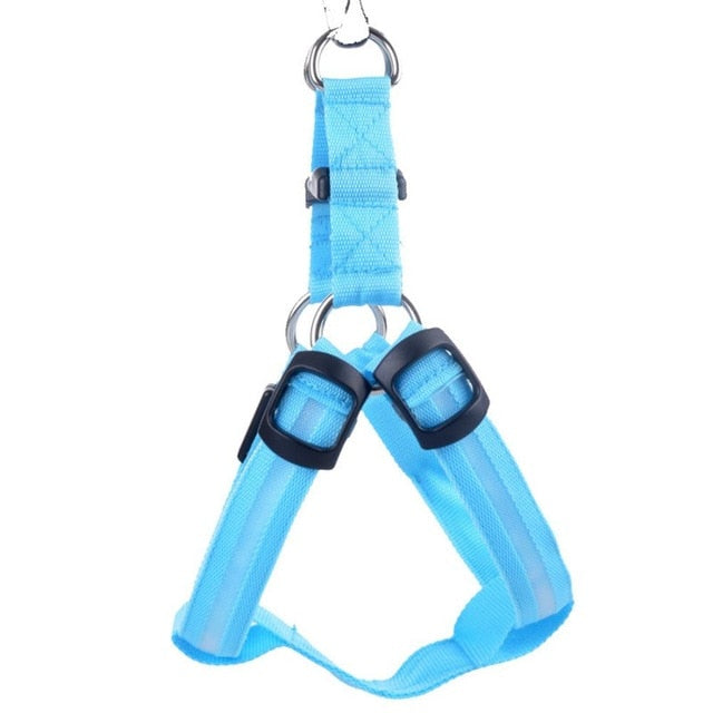 Hondentuigje met LED - Glow&Go