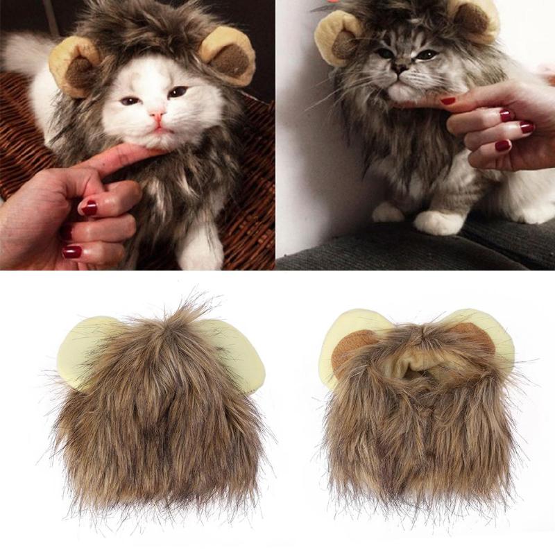 Löwenmähne für deine Katze - LionPaws