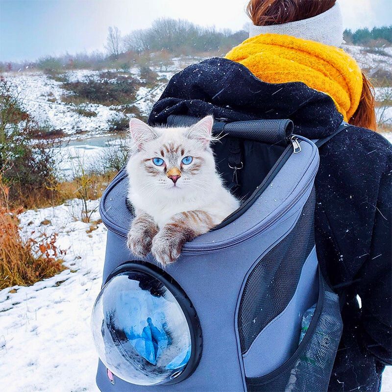 Katten Reistas - CatTrekker