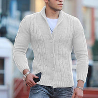 Stilvoller Herrenpullover - Luca