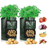Grow Potatoes at Home: Smart Potato Grow Bag for Patio & Balcony 1