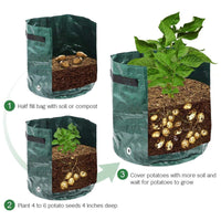 Grow Potatoes at Home: Smart Potato Grow Bag for Patio & Balcony 5