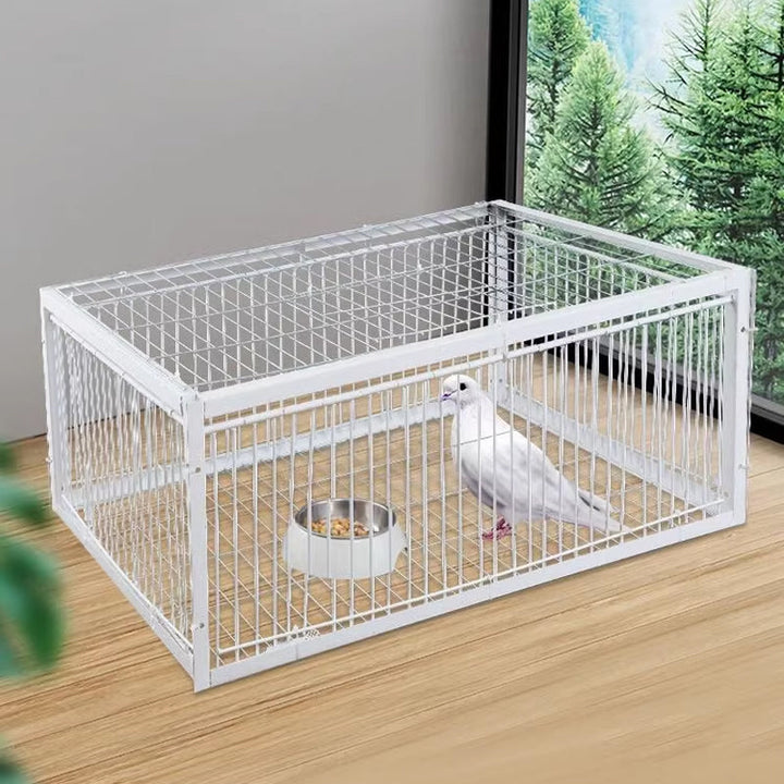 Diervriendelijke Vogelval met Terugslagbeveiliging – BirdSafe Trap