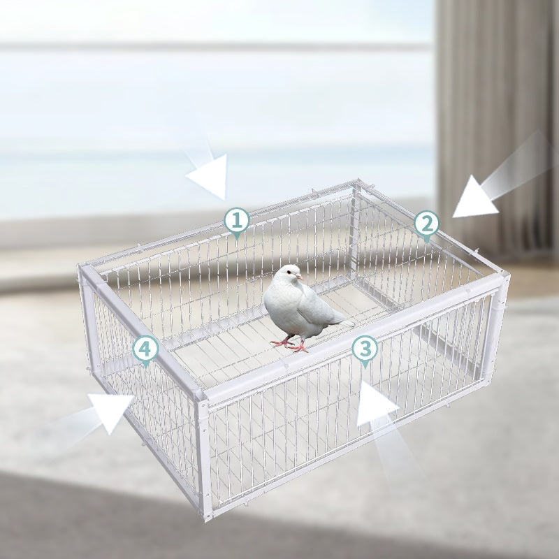 Diervriendelijke Vogelval met Terugslagbeveiliging – BirdSafe Trap