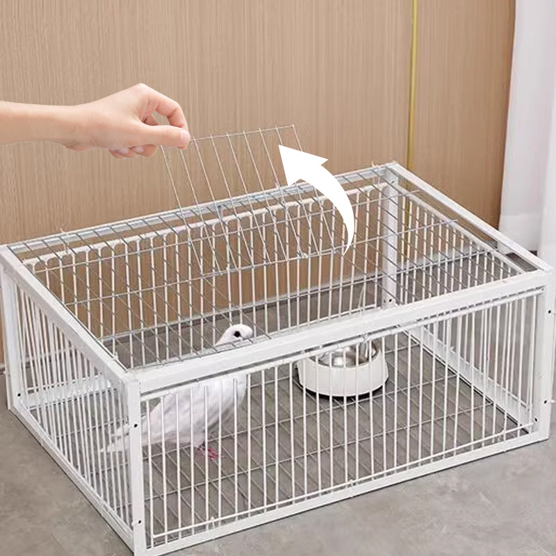 Diervriendelijke Vogelval met Terugslagbeveiliging – BirdSafe Trap