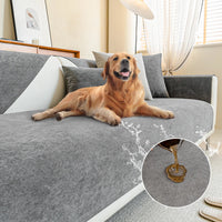 Een golden retriever ligt op een grijze bankhoes, met spetterend water en een inzetbeeld van gemorste vloeistof. 9