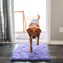 Super Saugfähige Hundematte – PawMat