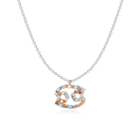 Stijlvolle Sterrenbeeld Ketting - Celestia