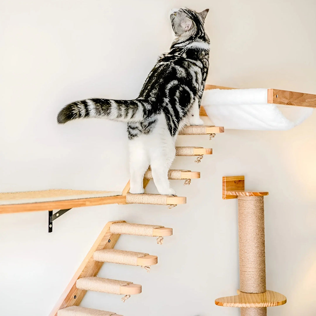 Wandklimplank voor Katten met Krabpaal - ClimbPaws