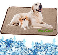 Cooling Dog Mat - CoolPet Mat
