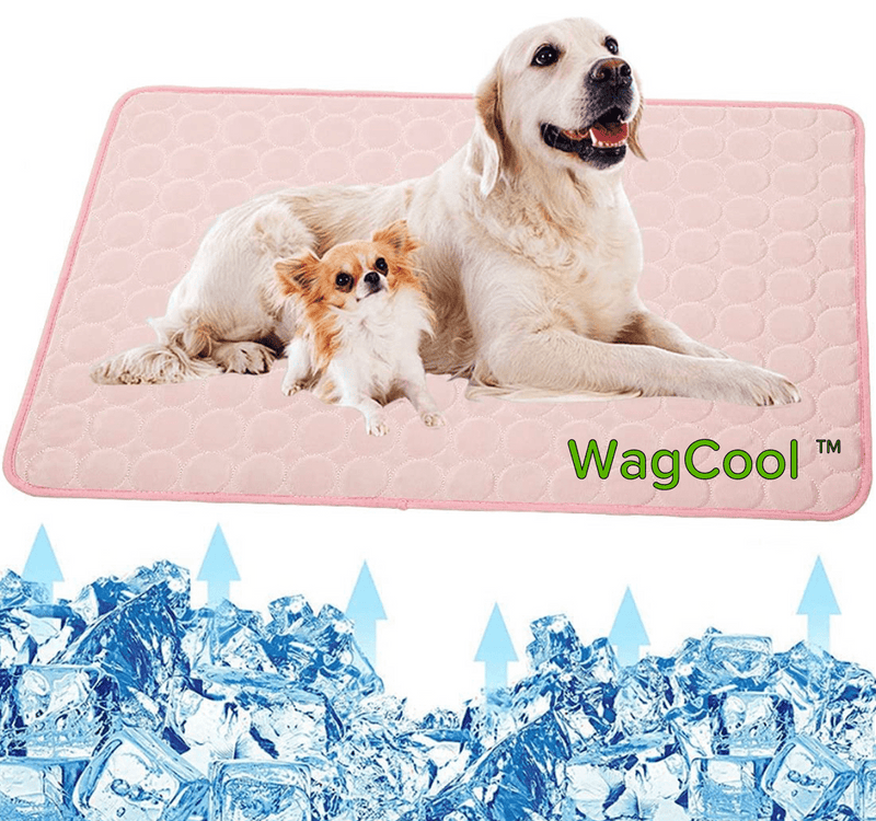 Cooling Dog Mat - CoolPet Mat
