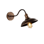 Goudbrons wandlamp met lange gebogen arm en bolle kap op witte achtergrond, met warm brandende lamp. 9