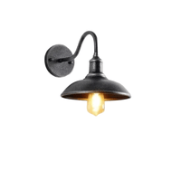 Zilverbrons grijze wandlamp met korte gebogen arm op witte achtergrond, met warm gloeiende lamp onder de kap. 12