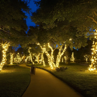 Solar Energy Ambient Lighting - SoliGlow