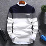 Herrenpullover mit Streifen und Colourblock-Design – Matteo