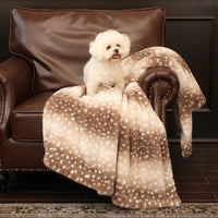 Kleine witte krullige hond zit op een leren fauteuil, bedekt met de plaid met bruine hertenstippen. 5