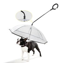 Transparenter Hundeschirm - ClearShield