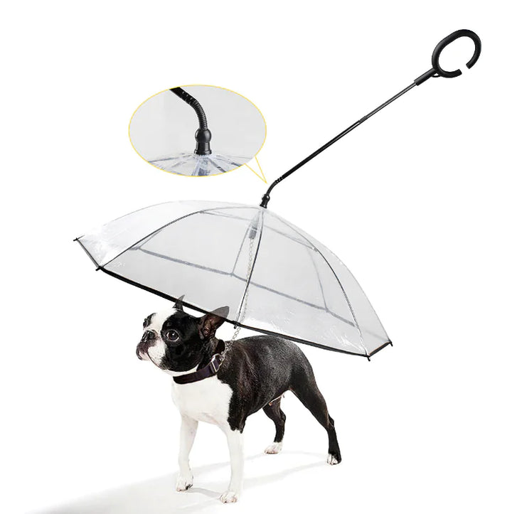 Transparenter Hundeschirm - ClearShield