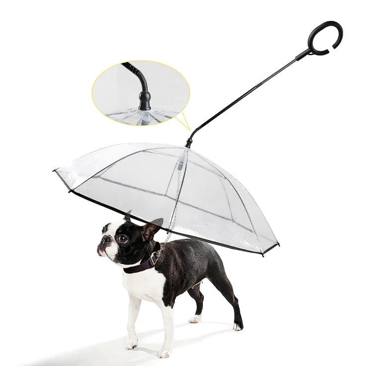 Transparenter Hundeschirm - ClearShield