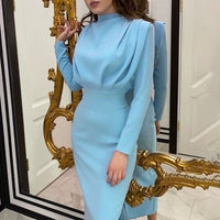 Elegant Autumn Winter Long Sleeve Maxi Dress Bodycon | Office & Party Wear