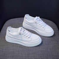 LotteSneaks I Trendy Low Sneakers For Women