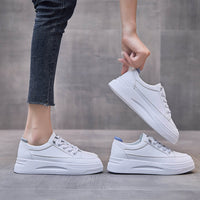LotteSneaks I Trendy Low Sneakers For Women