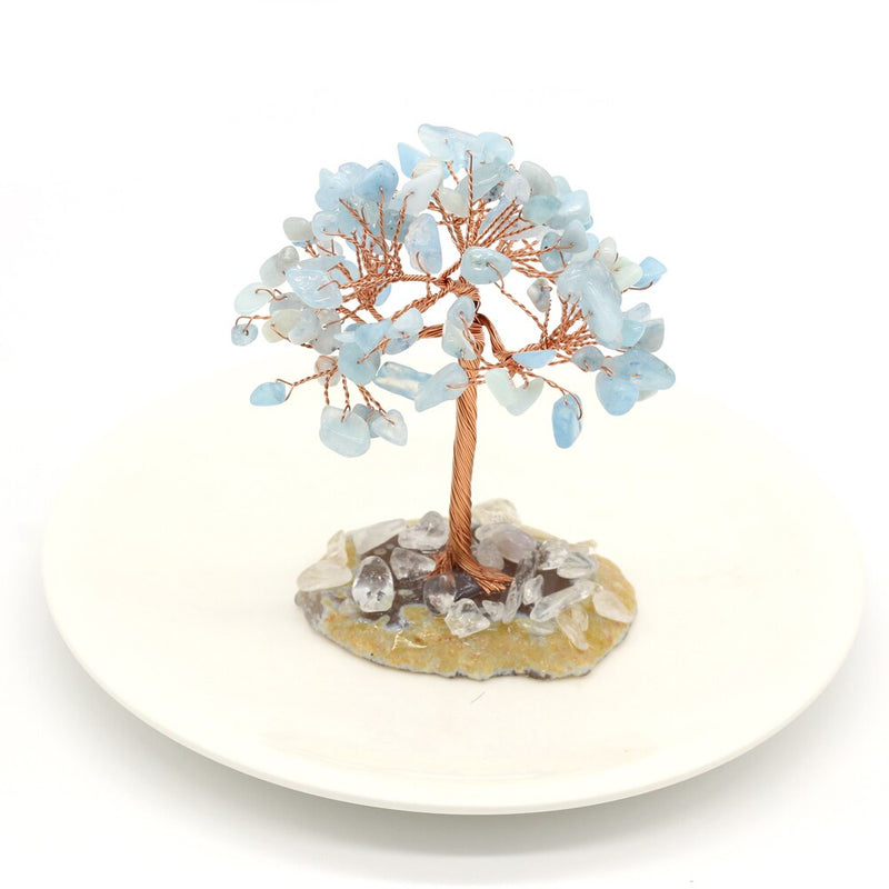 Natural Stone | Rustgevende Boom