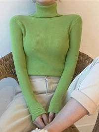 Pullover Turtle Neck Trui