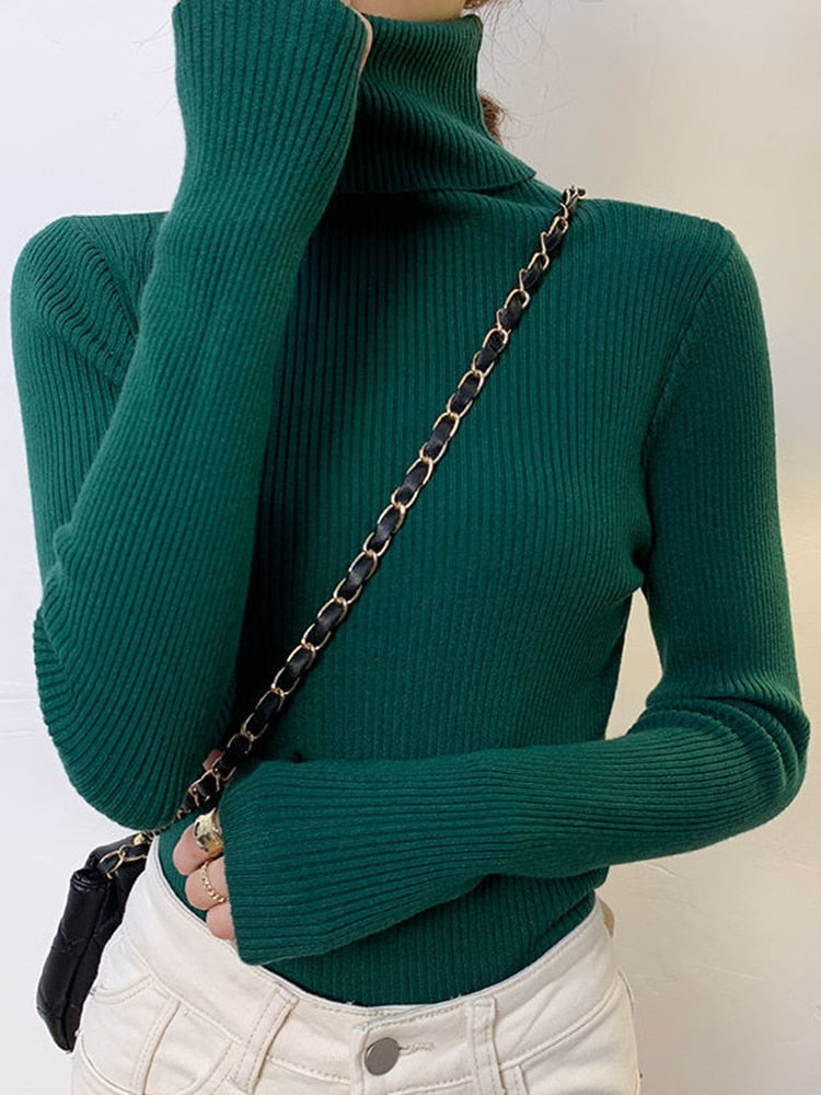 Pullover Turtle Neck Trui