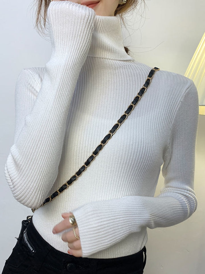 Pullover Turtle Neck Trui