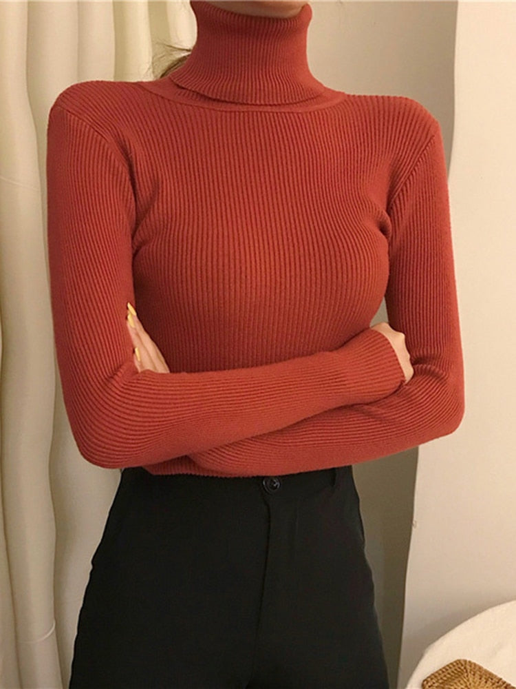Pullover Turtle Neck Trui