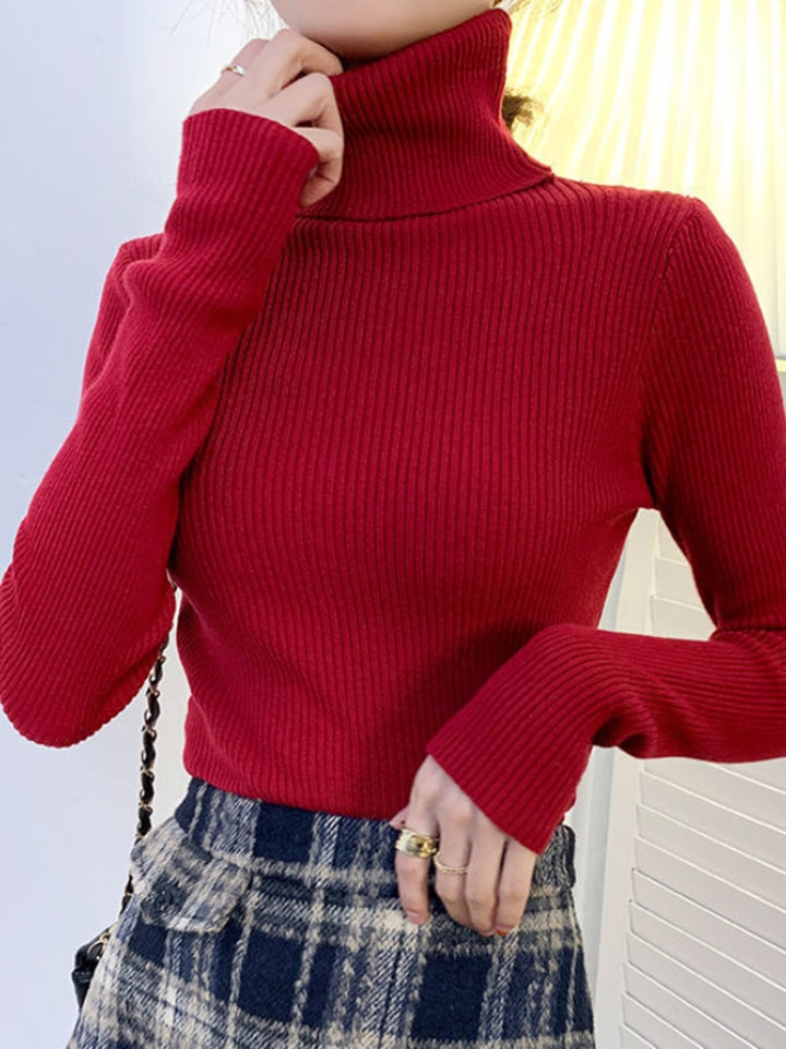 Pullover Turtle Neck Trui