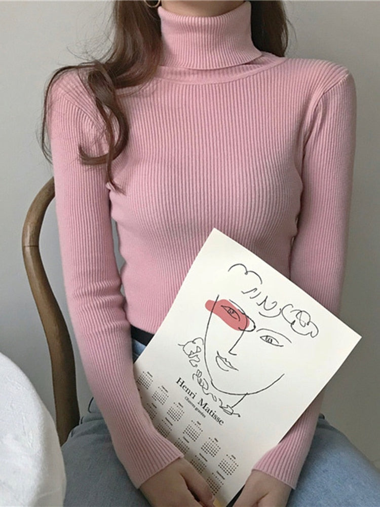 Pullover Turtle Neck Trui